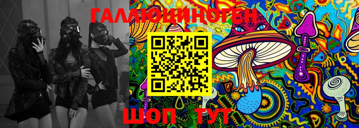 Псилоцибиновые грибы Cubensis Славянск-на-Кубани