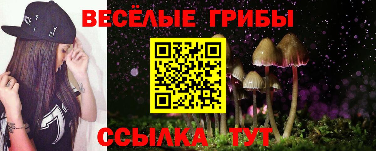 Псилоцибиновые грибы Psilocybe  Вход с VPN  Славянск-на-Кубани 